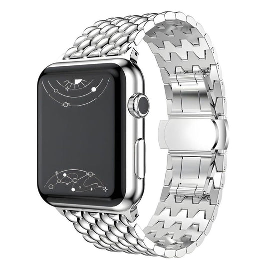 Acer Stainless Steel Band