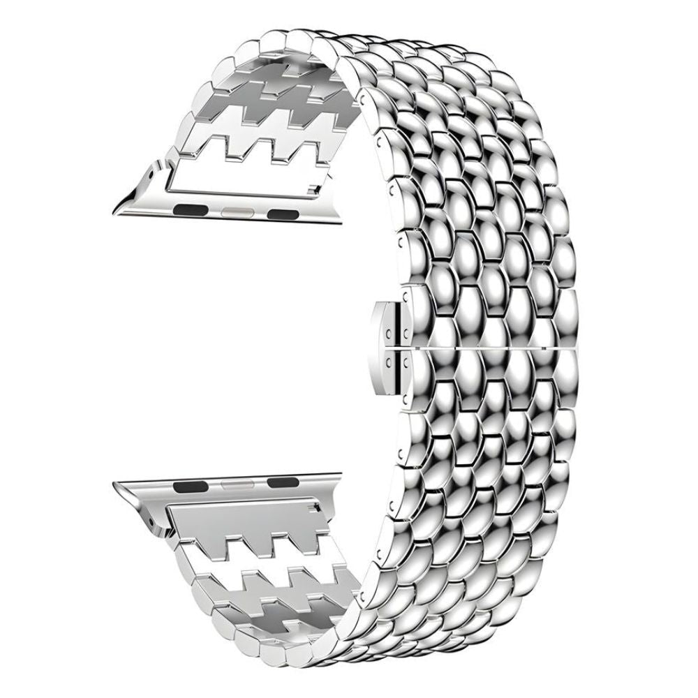 Acer Stainless Steel Band