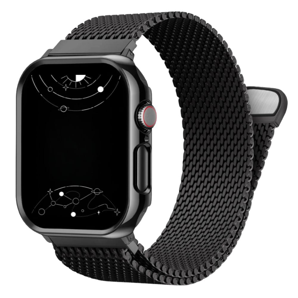 Ferrum Milanese Steel Magnetic Band With Case