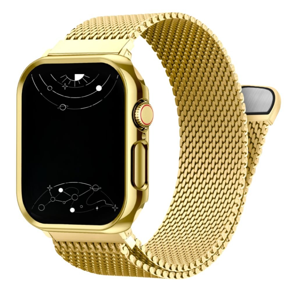 Ferrum Milanese Steel Magnetic Band With Case