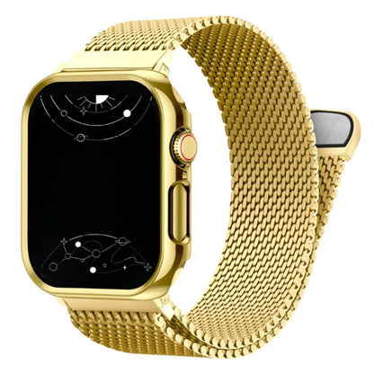 Ferrum Milanese Steel Magnetic Band With Case